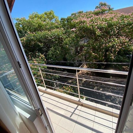 Camere De Inchiriat" Casa Printesa" Costineşti Exterior foto