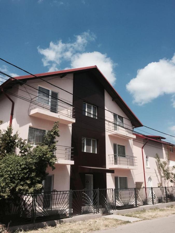 Camere De Inchiriat" Casa Printesa" Costineşti Exterior foto